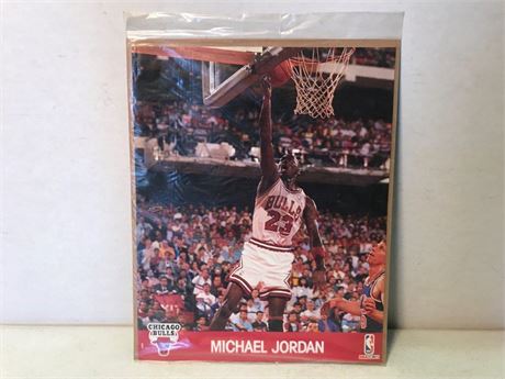 Michael Jordan 1990-91 NBA Hoops Action Photos 8x10 Card