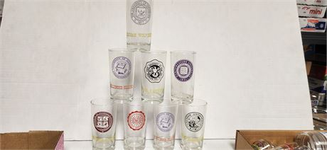 Various College Shot Glasses