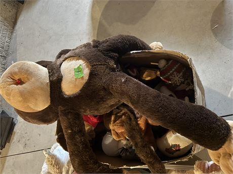 Stuffed Animal Lot