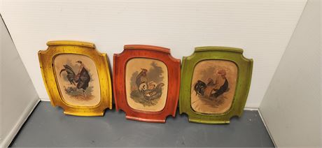 Rooster Pictures