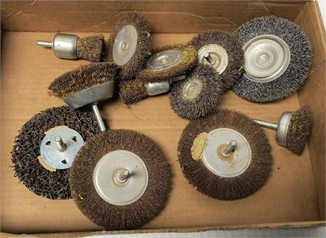 Various Steel Bristle Brushes