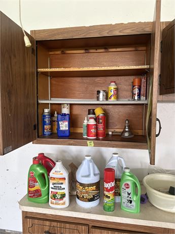 Shelf Lot