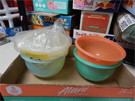 Lot Of Plastic Storage Bowls