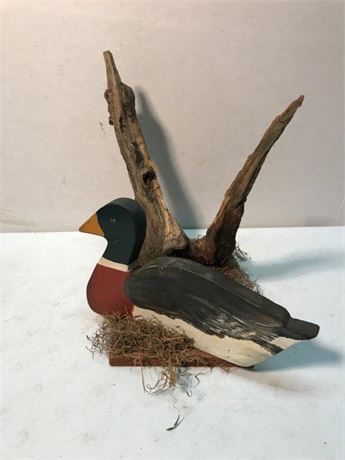 Wood Duck Display