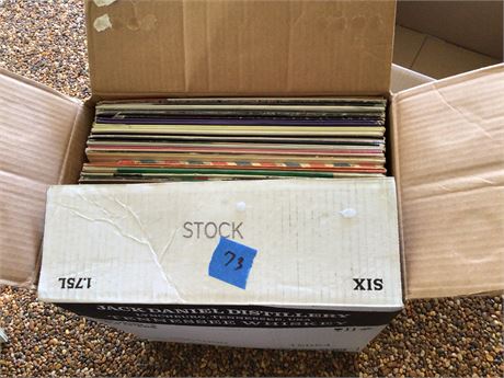 Vinyl Records Lot #2