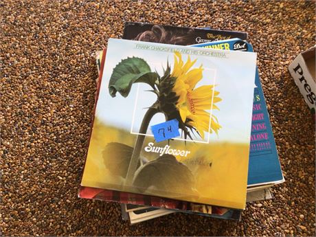 Vinyl Records Lot #3