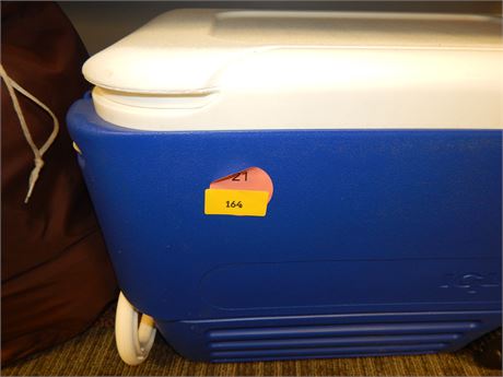 Igloo Cooler