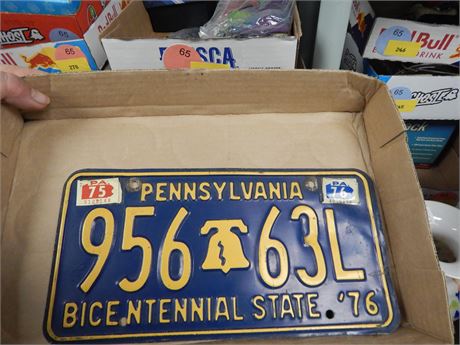 License Plate