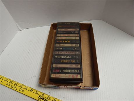 Lot Of Cassette Tapes & Storage Case