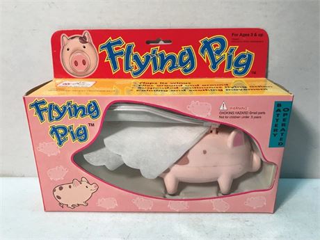 Flying Pig
