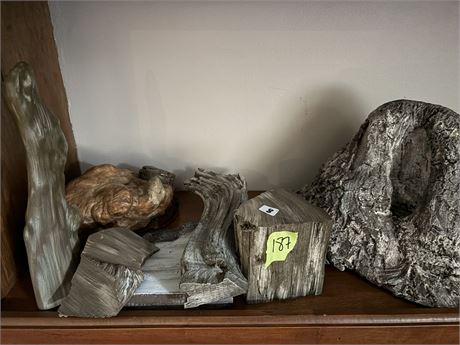 Petrified Wood Pieces, Wood