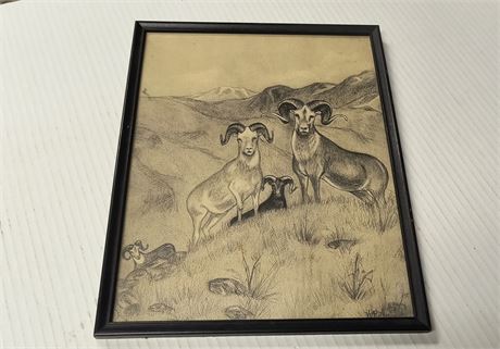 Framed Pencil Sketch Art