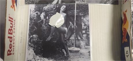 Lot Of Photoprints