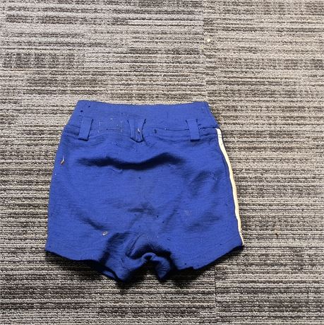 Vintage Gantner Wikies Blue Wool Swim Shorts