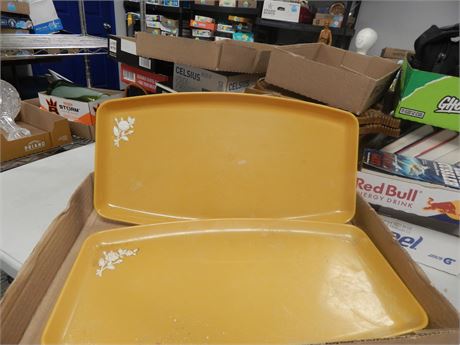 2 Vintage Plastic Trays