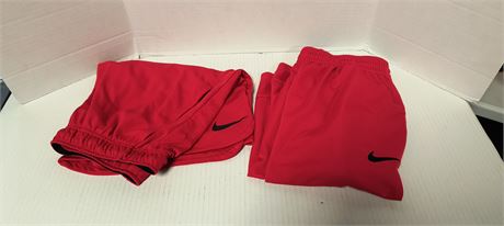 Nike Shorts Dri-Fit Size Large