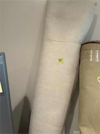 Carpet Remnant