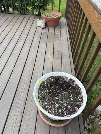 Flower Pots