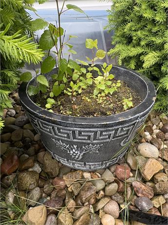 Flower Pots