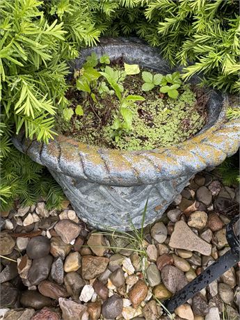 Flower Pots