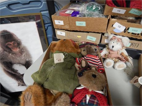 Lot of Boyd Bears