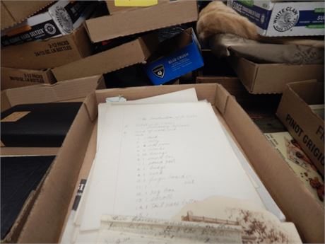 Flat Of Collectible Items