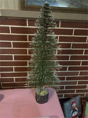 Pine Tree