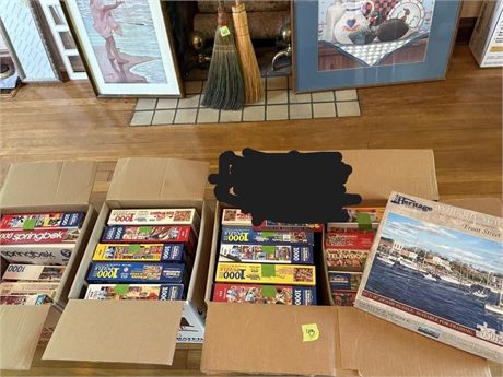 Puzzle Lot