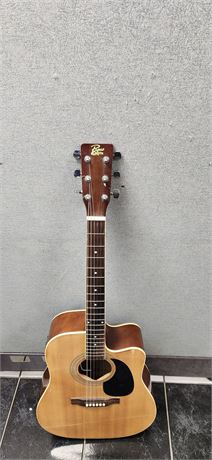 Rogue 6 String Acoustic Guitar