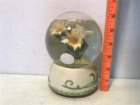 Water Globe Music Box