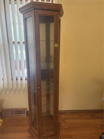 Lighted Curio Cabinet