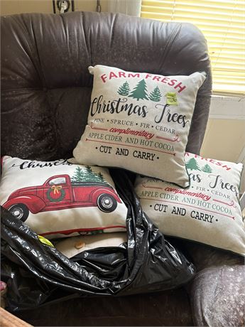 Holiday Pillows