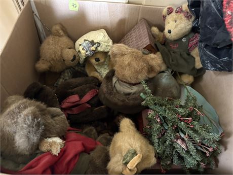 Teddy Bear Lot