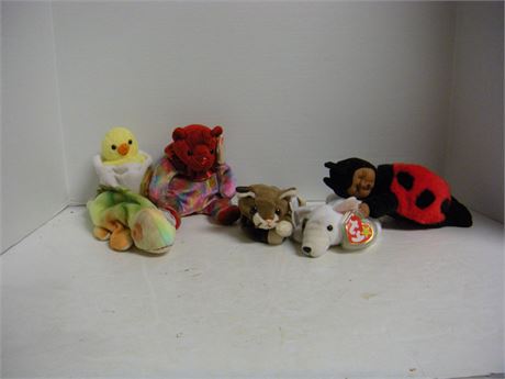 Flat Of TY Beanie Babies