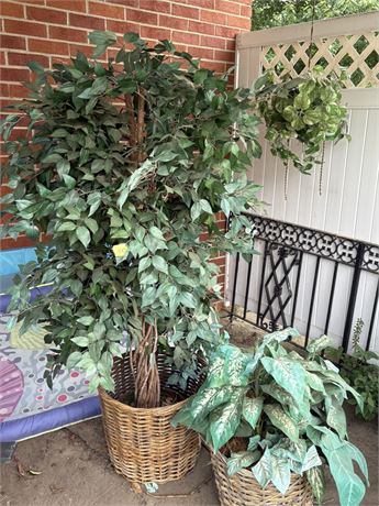 Silk Decorative Tree, Plants