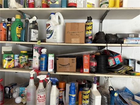 Shelf Lot