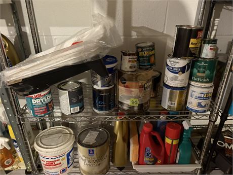 Shelf Lot, Paints, Misc