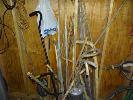 Walking Sticks and Cane Blanks