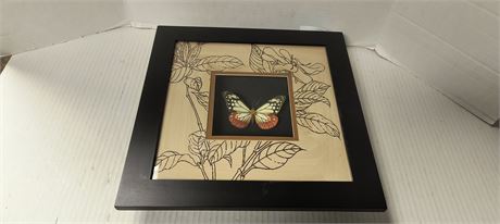 Butterfly Shadow Box