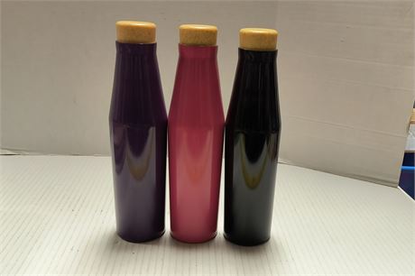 3 Stainless Steel Water Bottles