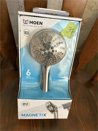 Moen Shower Head