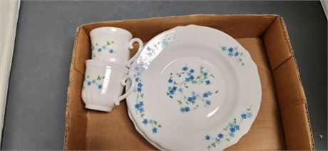 Arc Arcopia Vintage Plates & Cups
