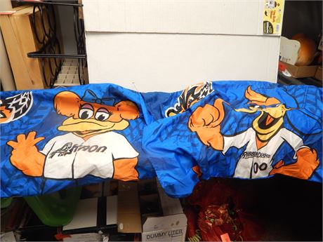 Akron Rubber Ducks Banner
