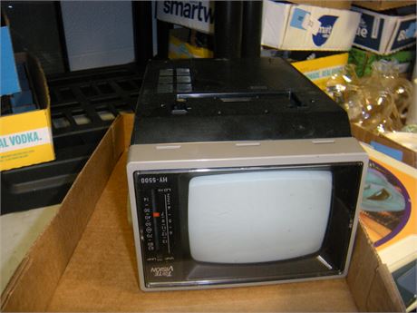 Portable tv