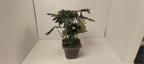 Decorative Plant & Planter