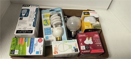 Flat Of Various Light Bulbs