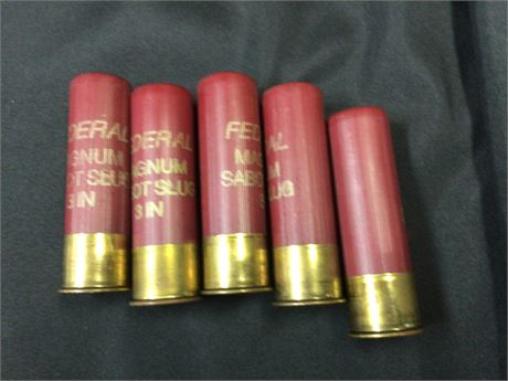 12 Gage 3" Mag Slugs