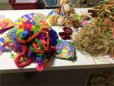 Hawaiian Luau Party Supplies with Grass Skirts & Lei's