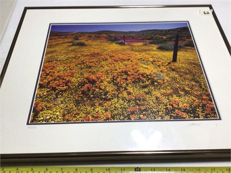 Framed Field of Dreams Art Work