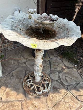 Bird Bath